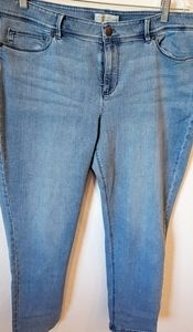 J.Jill Aunthentic fit Jeans